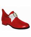 Carnavals rode heren schoenen middeleeuwen